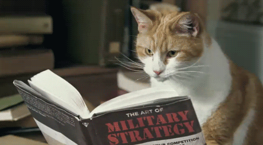 animated gif of a cat reading a book on military strategy
