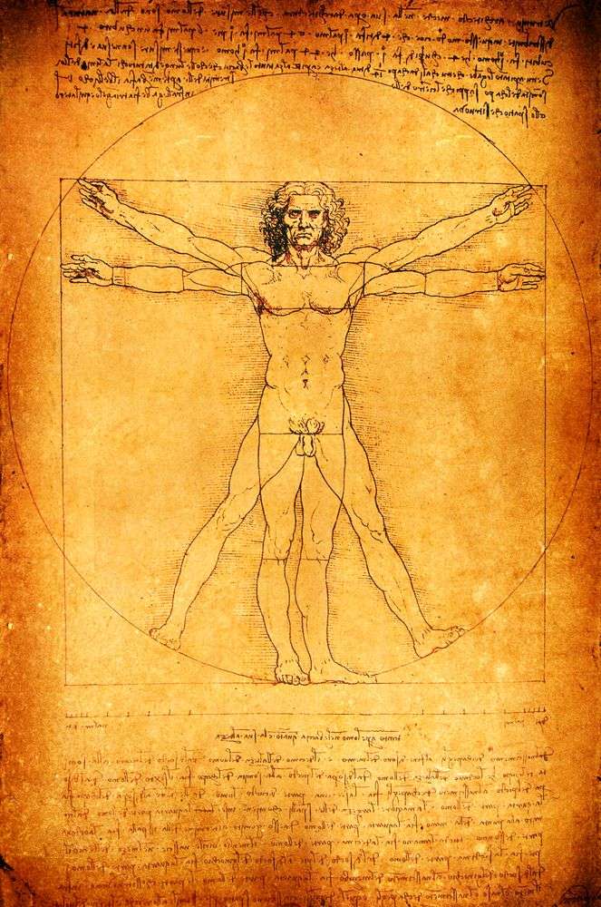 The Vitruvian Man, by Leonardo da Vinci